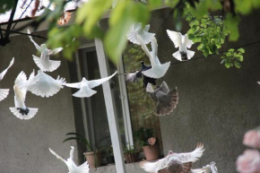 Hayk B&B (in Sanahin)